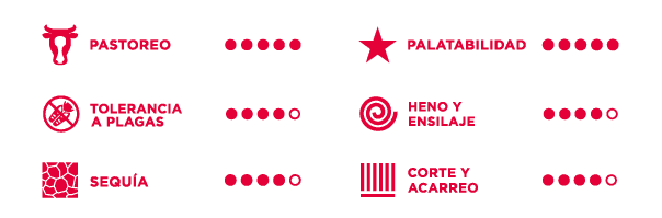 caracteristicas del pasto mestizo